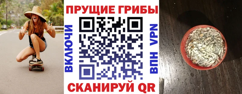 где продают наркотики  даркнет телеграм  Галлюциногенные грибы Psilocybe  Порхов 